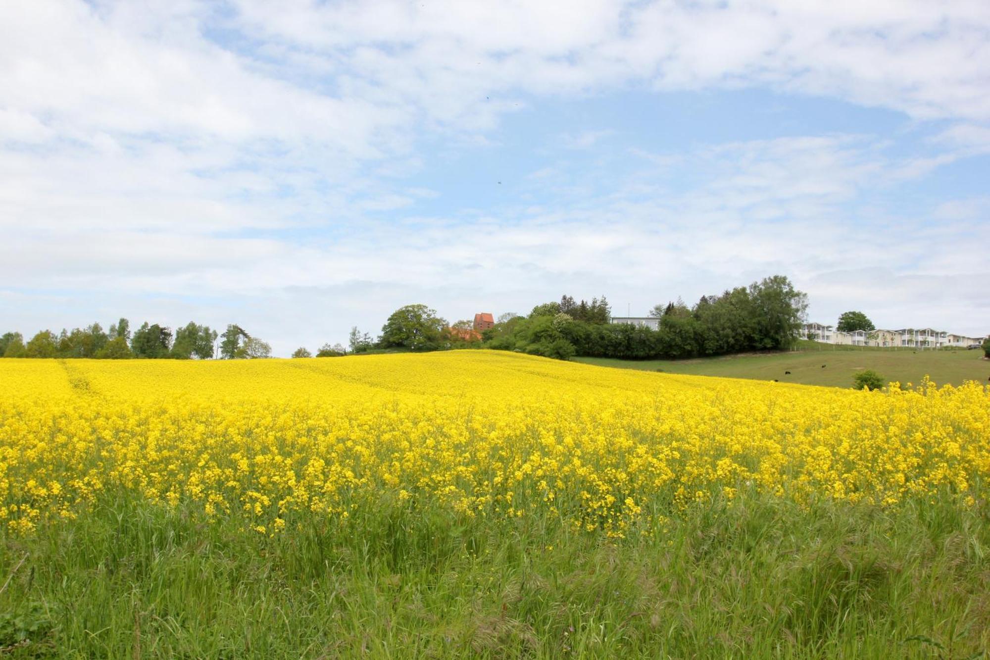 Mit Meerblick Und Balkon, Gratis Nutzung Vom Ahoi Erlebnisbad Und Sauna In Sellin - Meeresblick Fewo 14 Gohren Bagian luar foto